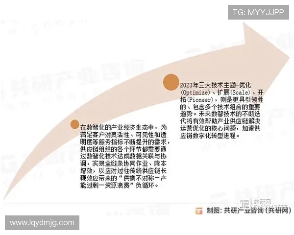 杭州排球队包夹战术的创新与发展全景解析